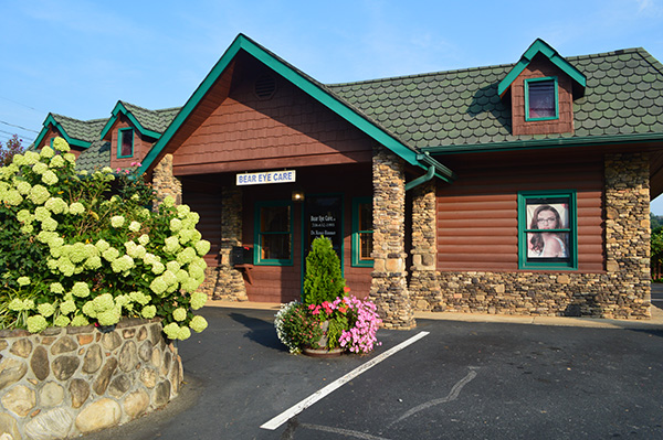 Office Exterior Plants